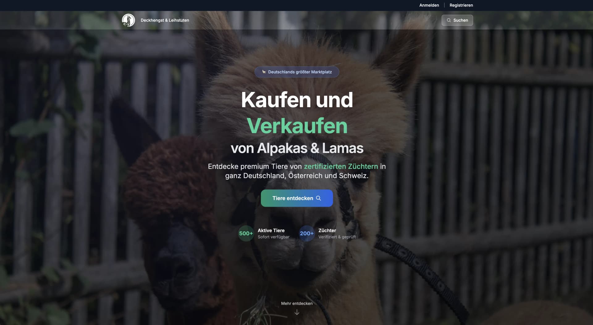Listings in the Alpaca Store